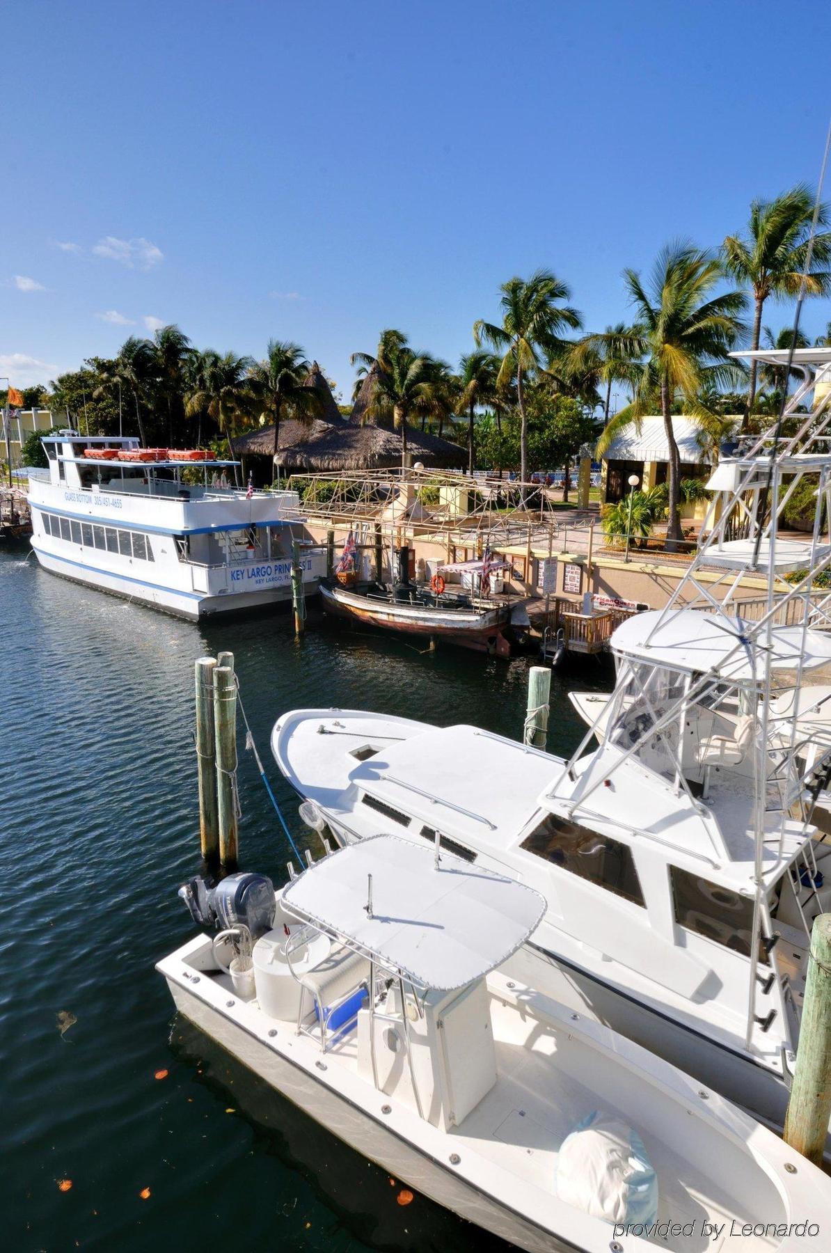 Holiday Inn Key Largo By Ihg Удобства фото